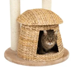Banana Leaf Bali Cat Tree -Trixie || Savic || Hill's Science Plan Sales 105457 banana leaf kratzbaum bali fg 4 5