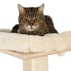 Natural Paradise Scratching Tree - Orchid M -Trixie || Savic || Hill's Science Plan Sales 109398 katze fg 9361 8