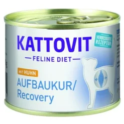 Kattovit Convalescence (Energy Plus)