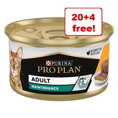 24 X 85g Purina Pro Plan Wet Cat Food - 20 + 4 Free!* 1 24 X 85g Purina Pro Plan Wet Cat Food - 20 + 4 Free!*