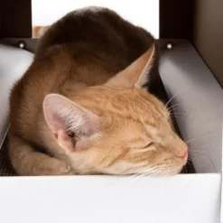 XL Cat Den With Scratching Pad Winter Edition -Trixie || Savic || Hill's Science Plan Sales 116301 xl katzenhaus home inkl kratzbrett fg 3669 3