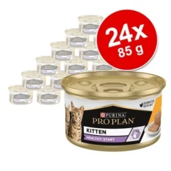 Purina Pro Plan Kitten Healthy Start 24 X 85 G