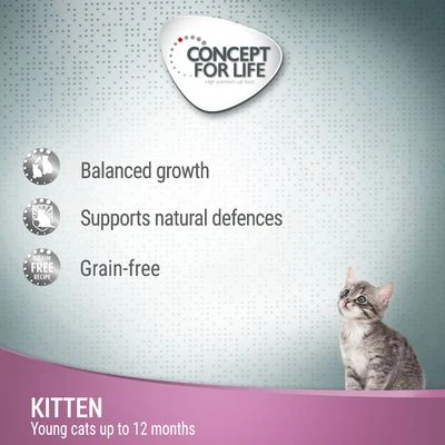 Concept For Life Kitten Beef Grain-Free - In Jelly 2 Concept For Life Kitten Beef Grain-Free - In Jelly - Image 2