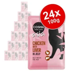 Cosma Asia In Jelly Pouches Saver Pack 24 X 100g