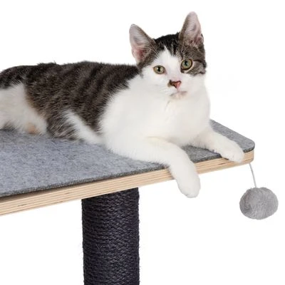 Raleigh Scratching Tree 8 Raleigh Scratching Tree - Image 8