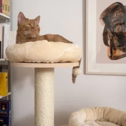 Natural Paradise Cat Tree Magnolia L -Trixie || Savic || Hill's Science Plan Sales 239396 np magnolia im wohnraum fg 8826 0