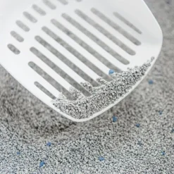 Intersand Classic Pine Forest Scented Cat Litter -Trixie || Savic || Hill's Science Plan Sales 248818 intersand classic katzenstreu pinienwald hs 03 8