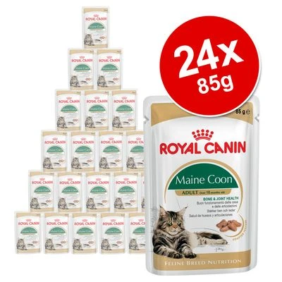 Royal Canin Breed Wet Cat Food Saver Pack 24 X 85g 1 Royal Canin Breed Wet Cat Food Saver Pack 24 X 85g