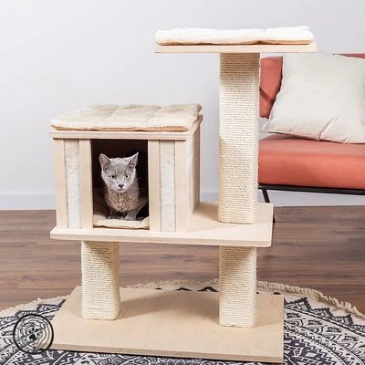 Natural Paradise Cat Tree Orchid Vanda S