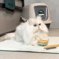 Kooa Antibacterial Toilet Mat -Trixie || Savic || Hill's Science Plan Sales 314903 kooa antibakterieller toilettenvorleger shoot 2