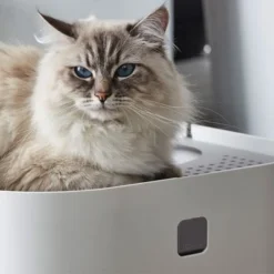 Modko ModKat Cat Litter Box -Trixie || Savic || Hill's Science Plan Sales 35895 modkat katzentoilette wei hs 03 1