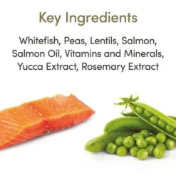 Applaws Cat Food Economy Packs -Trixie || Savic || Hill's Science Plan Sales 71009 applaws adult meeresfisch lachs hs 02 5