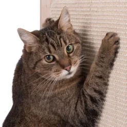 Natural Paradise Scratching Barrel - Daisy 15 Natural Paradise Scratching Barrel - Daisy -Trixie || Savic || Hill's Science Plan Sales 75376 kratztonne np kahone fg 5701 2