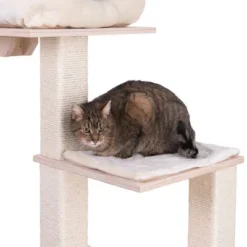 Natural Paradise Scratching Tree - Orchid Vanda L -Trixie || Savic || Hill's Science Plan Sales 75552 kratzbaum np quadra fg 6204 8