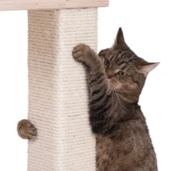 Natural Paradise Scratching Tree - Orchid Vanda L -Trixie || Savic || Hill's Science Plan Sales 75552 kratzbaum np quadra fg 6205 0