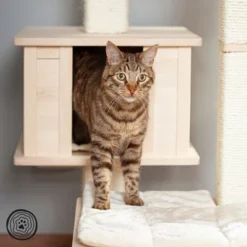 Natural Paradise Scratching Tree - Orchid Vanda L -Trixie || Savic || Hill's Science Plan Sales 75552 np kb qiii 1000x1000 logo la mg 5796 4