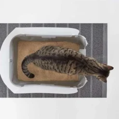 Modkat Cat Litter Tray -Trixie || Savic || Hill's Science Plan Sales 79339 modkat tray katzentoilette hs 04 4