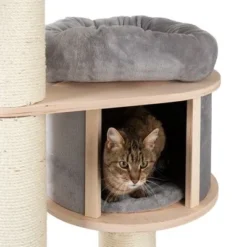 Natural Paradise Scratching Tree - Magnolia XL -Trixie || Savic || Hill's Science Plan Sales 86601 kratzbaum np xl standard fg 2970 4