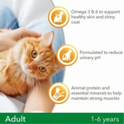 IAMS For Vitality Adult Fresh Chicken Dry Cat Food 11 IAMS For Vitality Adult Fresh Chicken Dry Cat Food -Trixie || Savic || Hill's Science Plan Sales 8710255125954 a 8