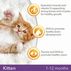 IAMS For Vitality Kitten Fresh Chicken Dry Cat Food 11 IAMS For Vitality Kitten Fresh Chicken Dry Cat Food -Trixie || Savic || Hill's Science Plan Sales 8710255127736 1