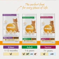 IAMS For Vitality Kitten Fresh Chicken Dry Cat Food 10 IAMS For Vitality Kitten Fresh Chicken Dry Cat Food -Trixie || Savic || Hill's Science Plan Sales 8710255127736 3 3