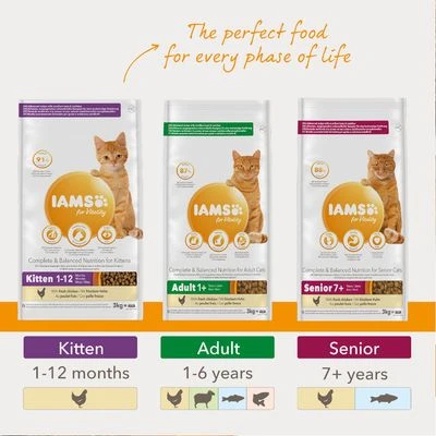 IAMS For Vitality Senior Fresh Chicken Dry Cat Food 4 IAMS For Vitality Senior Fresh Chicken Dry Cat Food - Image 4