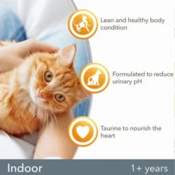 IAMS For Vitality Adult Indoor Fresh Chicken Dry Cat Food -Trixie || Savic || Hill's Science Plan Sales 8710255150451 3