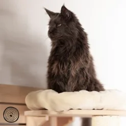 Natural Paradise Wall Scratching Board - Dahlia -Trixie || Savic || Hill's Science Plan Sales 99396 np wkb krea 1000x1000 logo la mg 6053 7