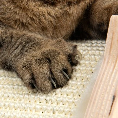 Natural Paradise Scratching Mat Cat Bed - Peony 8 Natural Paradise Scratching Mat Cat Bed - Peony - Image 8