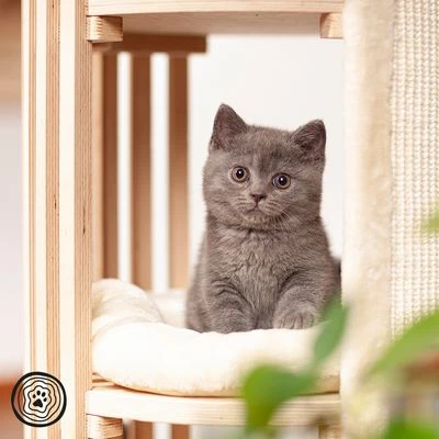 Natural Paradise Scratching Barrel - Lily 4 Natural Paradise Scratching Barrel - Lily - Image 4