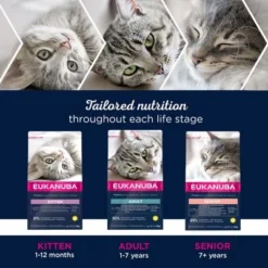 Eukanuba Healthy Start Kitten -Trixie || Savic || Hill's Science Plan Sales eukanuba dcf life phases 8