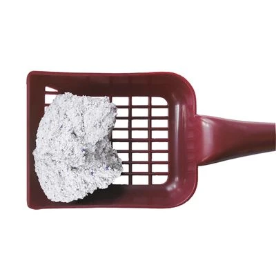 Golden White 2 Golden White - Image 2