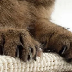 Trixie Sisal Cat Scratching Board -Trixie || Savic || Hill's Science Plan Sales katzen kratzmatte1 1