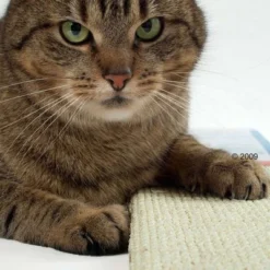 Trixie Sisal Cat Scratching Board -Trixie || Savic || Hill's Science Plan Sales katzen kratzmatte2 1