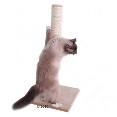 Olga Cat Scratching Post 3 Olga Cat Scratching Post - Image 3