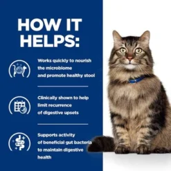 Hill’s Prescription Diet Feline Gastrointestinal Biome Stew - Chicken -Trixie || Savic || Hill's Science Plan Sales pd gibiome cat bk32326m bk31171 how helps uk 5