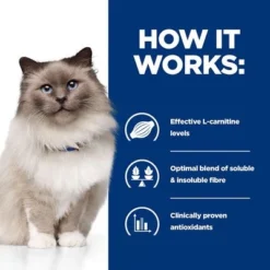 Hill's Prescription Diet Feline R/d Weight Reduction - Chicken 12 Hill's Prescription Diet Feline R/d Weight Reduction - Chicken -Trixie || Savic || Hill's Science Plan Sales pd rd cat bk24502m bk29689 how works uk 3