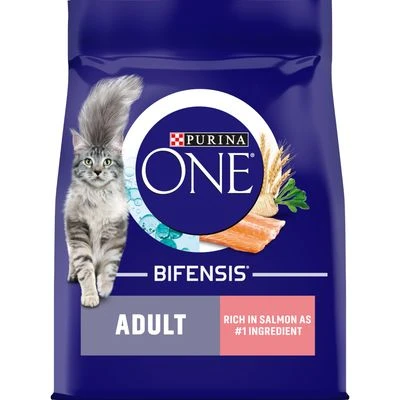 Purina ONE Adult Salmon & Whole Grains Dry Cat Food