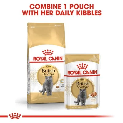 Royal Canin British Shorthair Adult 5 Royal Canin British Shorthair Adult - Image 5