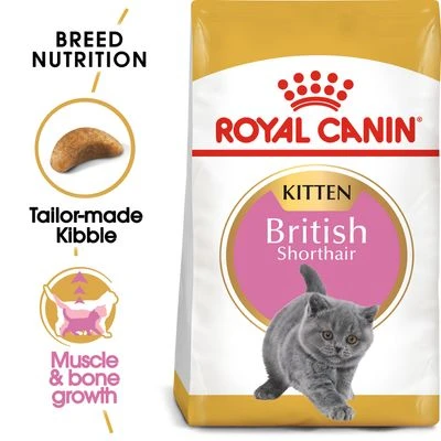 Royal Canin British Shorthair Kitten 1 Royal Canin British Shorthair Kitten