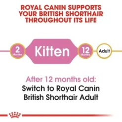 Royal Canin British Shorthair Kitten 9 Royal Canin British Shorthair Kitten -Trixie || Savic || Hill's Science Plan Sales rc fbn kittenbritishshorthair cv1 001 uk english 9