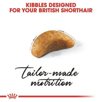 Royal Canin British Shorthair Kitten 3 Royal Canin British Shorthair Kitten - Image 3