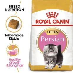 Royal Canin Persian Kitten