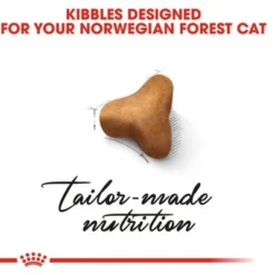 Royal Canin Norwegian Forest Cat Adult -Trixie || Savic || Hill's Science Plan Sales rc fbn norwegianfc cv eretailkit 2 8