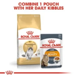 Royal Canin Norwegian Forest Cat Adult -Trixie || Savic || Hill's Science Plan Sales rc fbn norwegianfc cv eretailkit 4 3