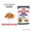 Royal Canin Appetite Control Care In Jelly