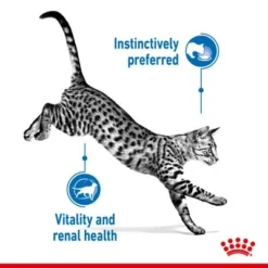 Royal Canin Indoor Sterilised 7+ In Jelly 12 Royal Canin Indoor Sterilised 7+ In Jelly -Trixie || Savic || Hill's Science Plan Sales rc spt wet ind7sterjelly page 3 1 7