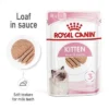 Royal Canin Kitten In Loaf