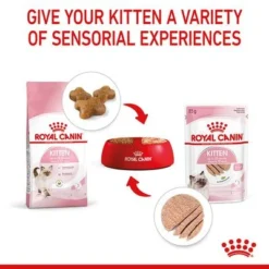 Royal Canin Kitten In Loaf -Trixie || Savic || Hill's Science Plan Sales rc spt wet kitten loaf b1 page 07 2