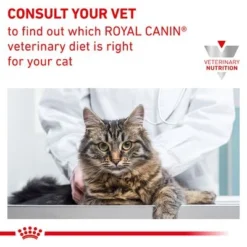Royal Canin Veterinary Feline Skin & Coat 15 Royal Canin Veterinary Feline Skin & Coat -Trixie || Savic || Hill's Science Plan Sales rc vet dry catskincoat b1 page 8 3